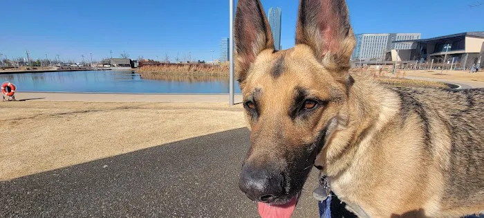 Southwest Veterinary Hospital Picture 1