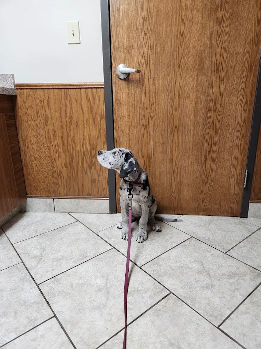 Southwest Veterinary Hospital Picture 3