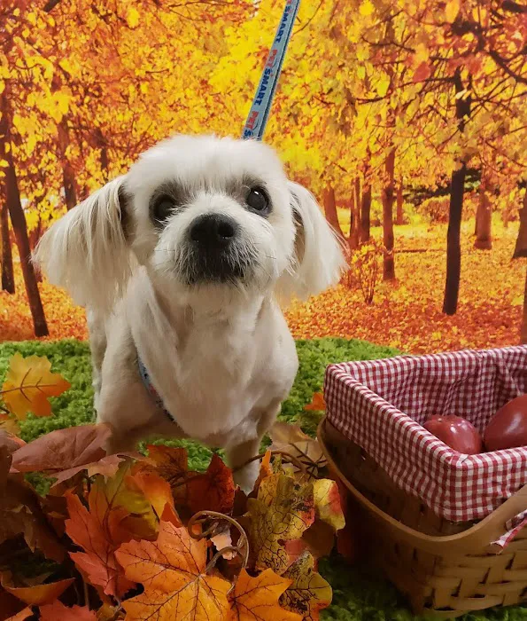 Southwest Veterinary Hospital Picture 9