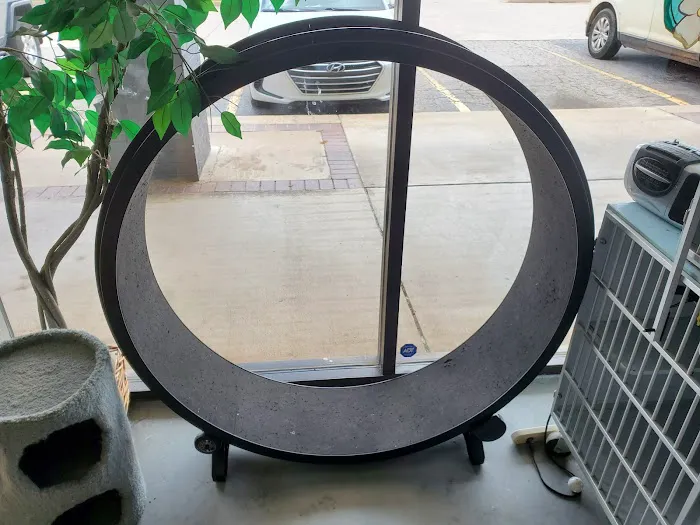 Cats Only Veterinary Clinic Picture 3