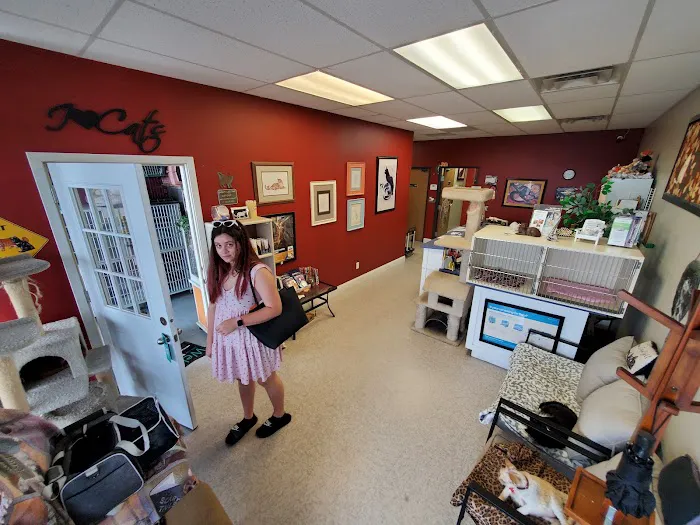 Cats Only Veterinary Clinic Picture 6