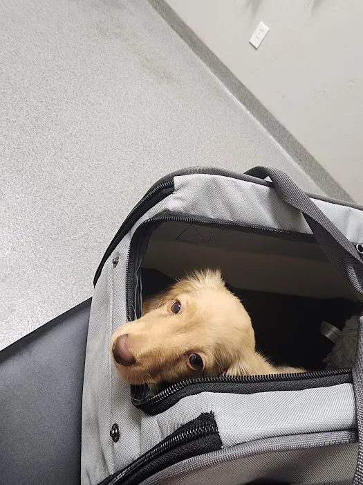 Village Veterinary Care Picture 2