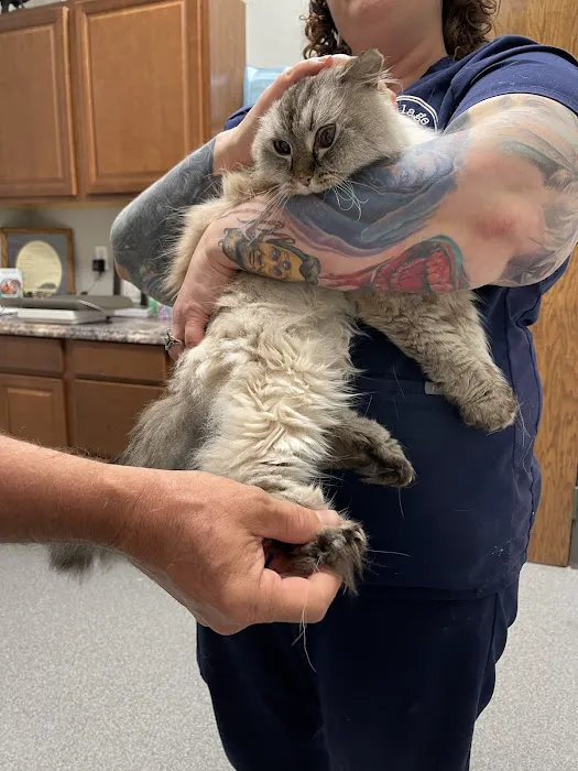 Village Veterinary Care Picture 9