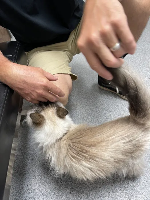 Village Veterinary Care Picture 8