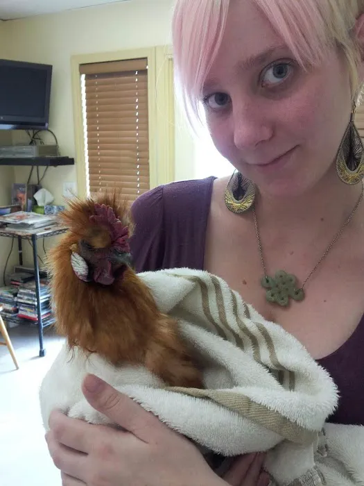 All Pets Veterinary Hospital Picture 2