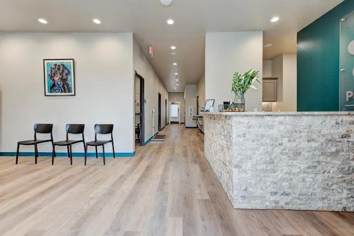 Pet Dental USA Picture 2