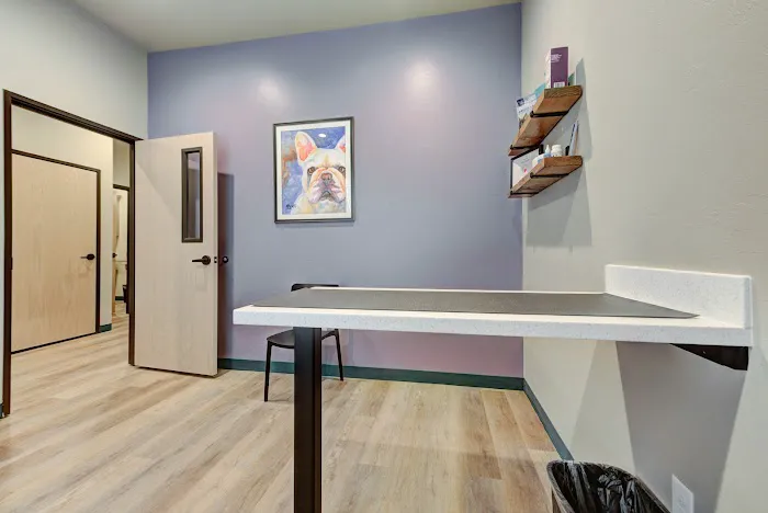 Pet Dental USA Picture 4