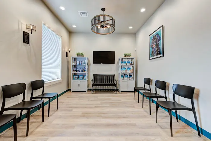 Pet Dental USA Picture 5