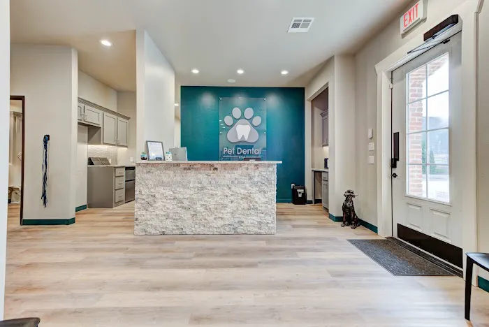 Pet Dental USA Picture 3