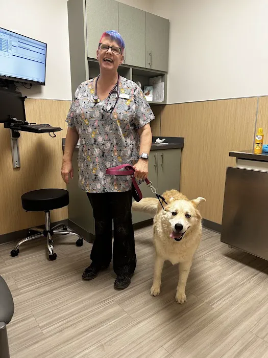 Main St Veterinary Hospital Picture 4