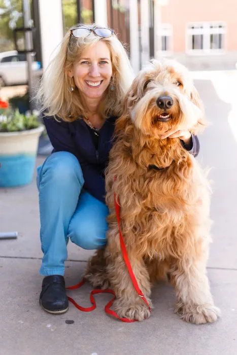 Main St Veterinary Hospital Picture 6