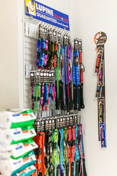 Main St Veterinary Hospital Picture 9