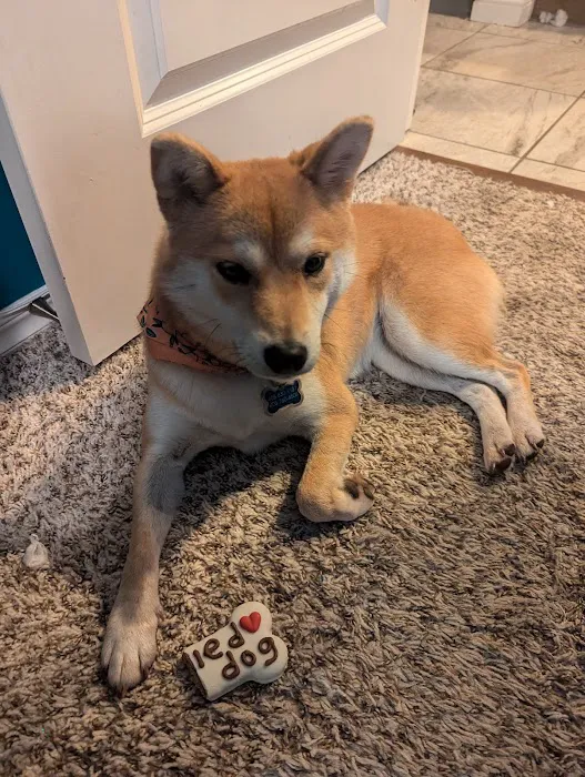 Okoboji Veterinary Hospital Picture 4