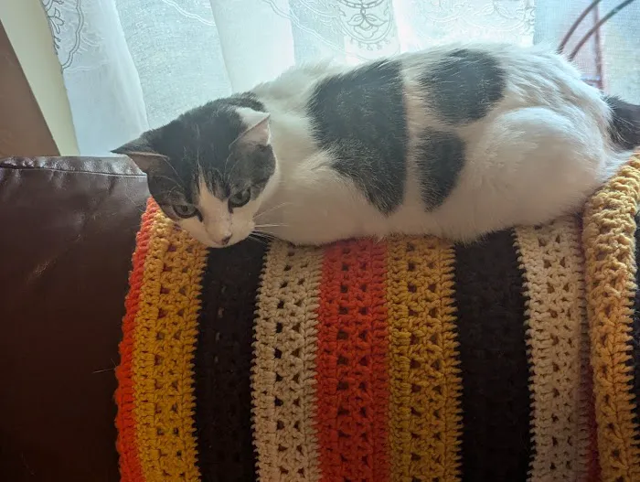 Okoboji Veterinary Hospital Picture 6