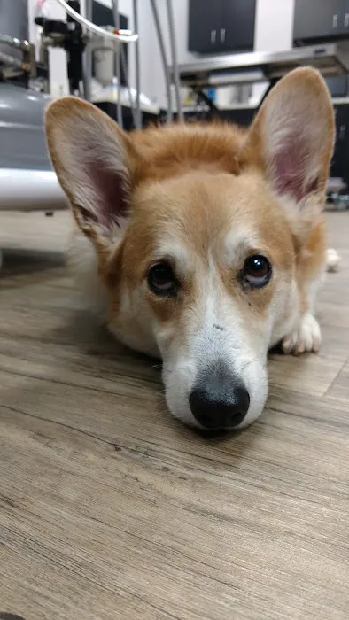 Okoboji Veterinary Hospital Picture 9