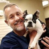 Mollet Pet Hospital and Urgent Care ico