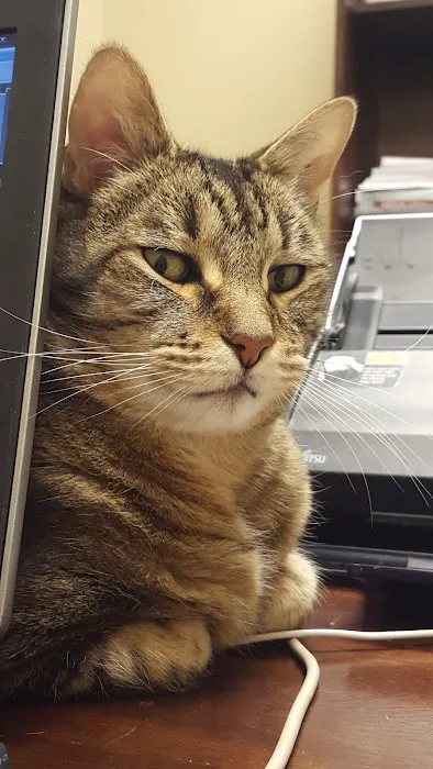 Mollet Pet Hospital and Urgent Care Picture 4