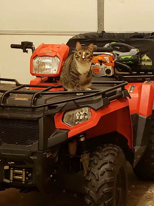 Mollet Pet Hospital and Urgent Care Picture 8