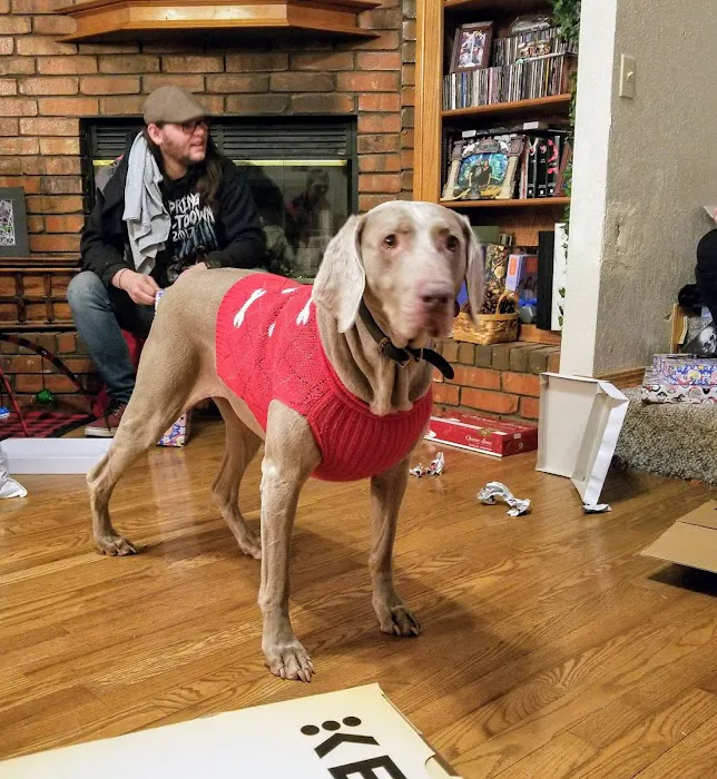 Santa Fe Veterinary Clinic Picture 2