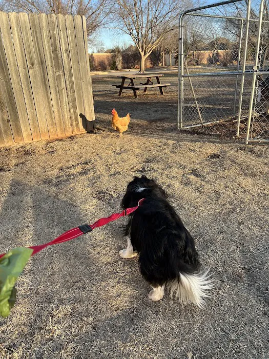 Santa Fe Veterinary Clinic Picture 1