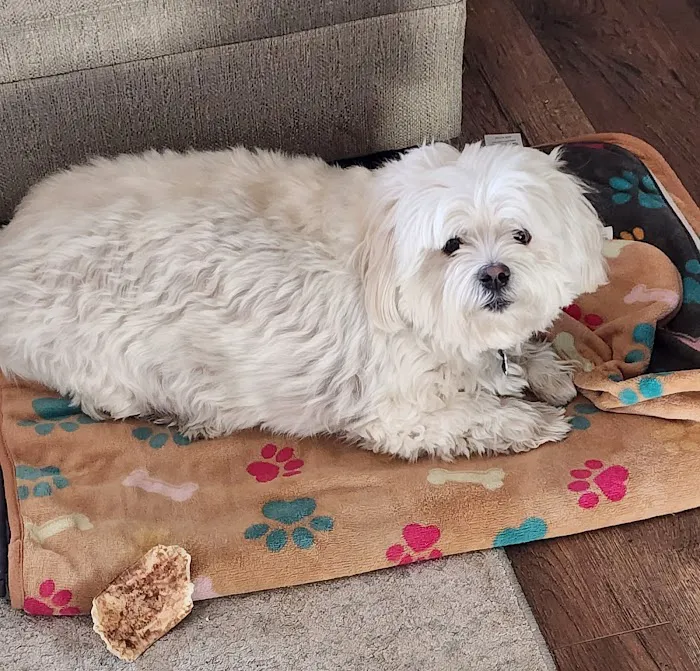 Santa Fe Veterinary Clinic Picture 6