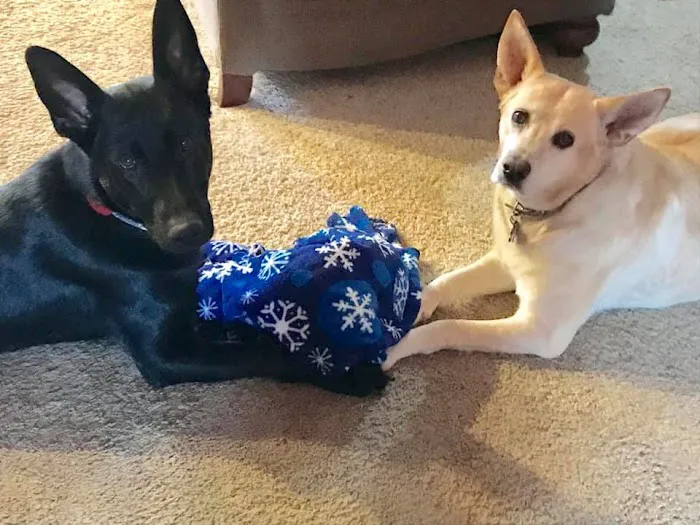 Santa Fe Veterinary Clinic Picture 5