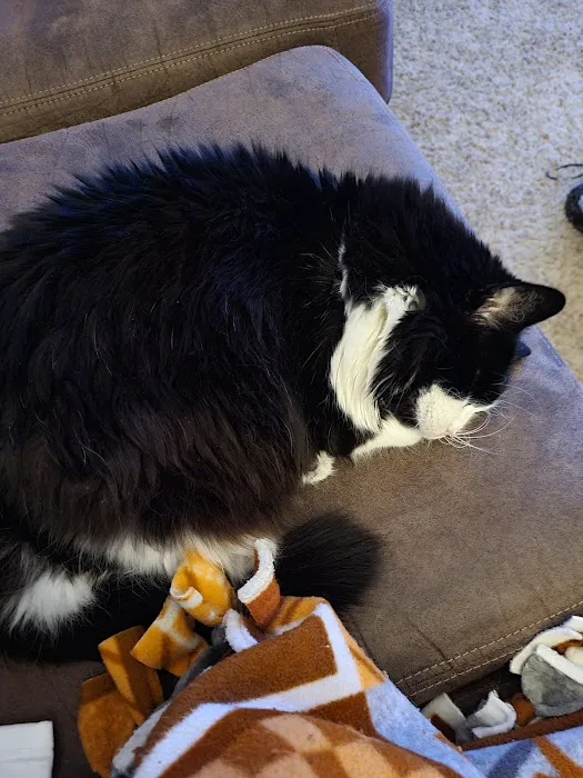 Santa Fe Veterinary Clinic Picture 3