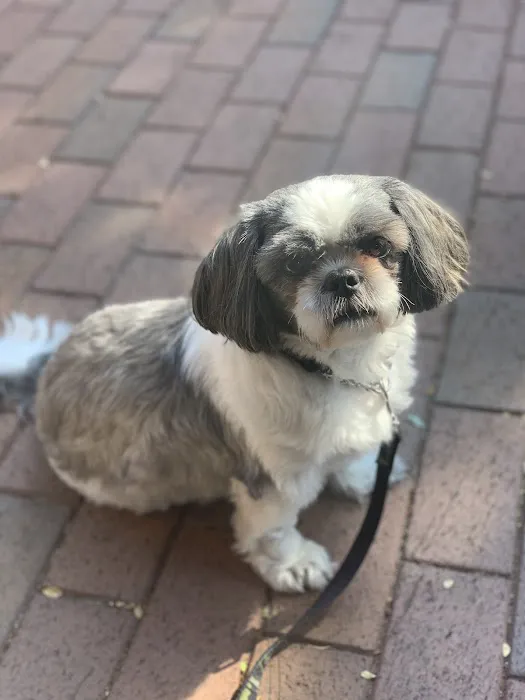 Santa Fe Veterinary Clinic Picture 4