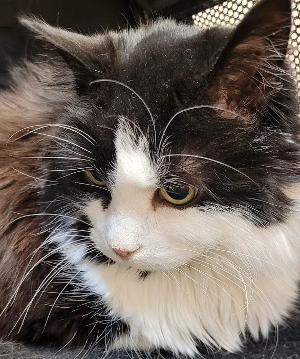 Santa Fe Veterinary Clinic Picture 9