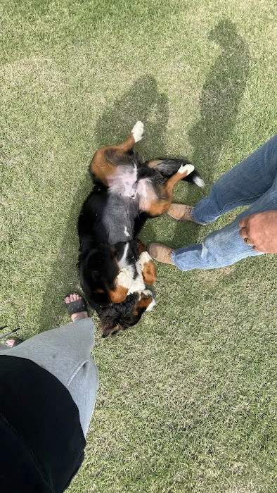 Scissortail Veterinary Specialists Picture 2