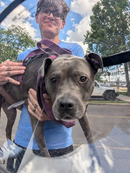 Scissortail Veterinary Specialists Picture 7