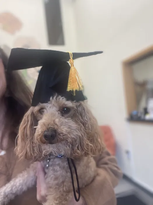 Oklahoma Veterinary Rehabilitation Picture 2