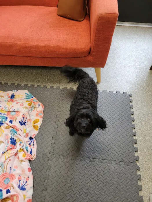 Oklahoma Veterinary Rehabilitation Picture 4