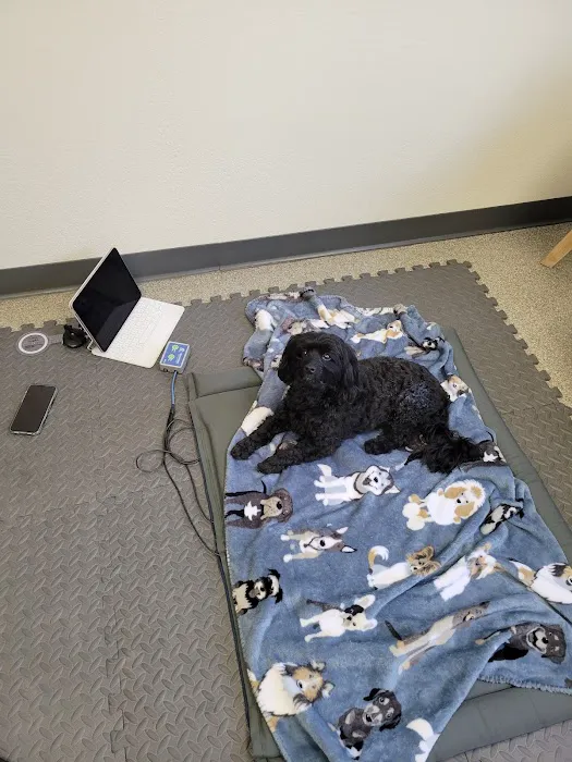 Oklahoma Veterinary Rehabilitation Picture 5