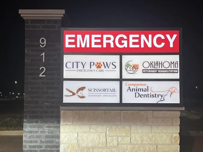 City Paws Emergency Care Picture 2