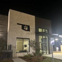 City Paws Emergency Care ico