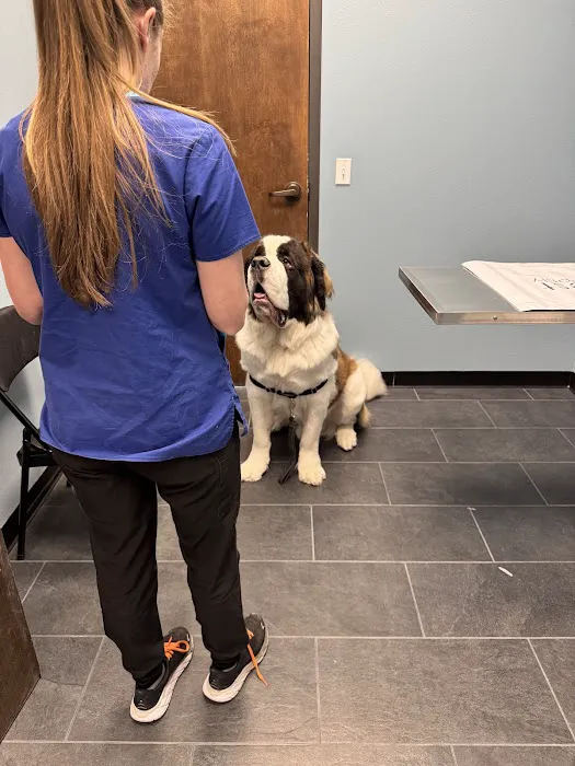 Hazelwood Pet Care Picture 2