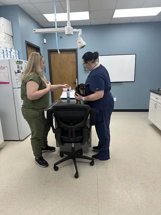 Hazelwood Pet Care Picture 3