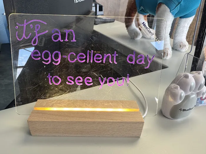 Hazelwood Pet Care Picture 5