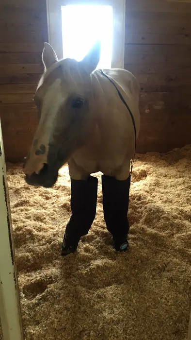 Oklahoma City Equine Clinic Picture 3