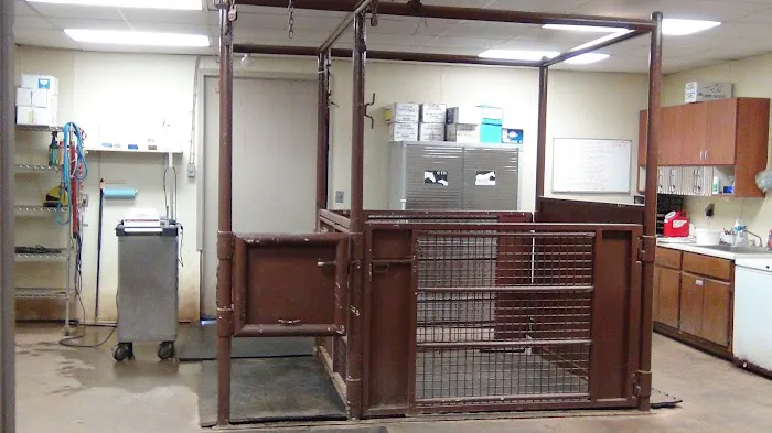 Oklahoma City Equine Clinic Picture 2