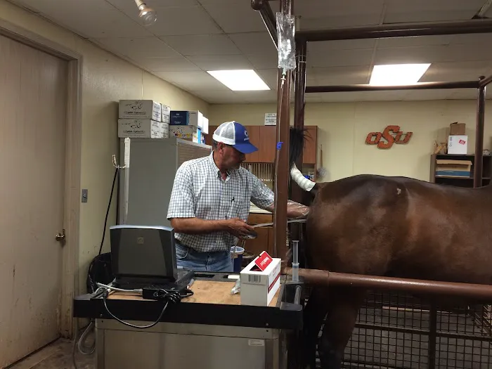 Oklahoma City Equine Clinic Picture 4