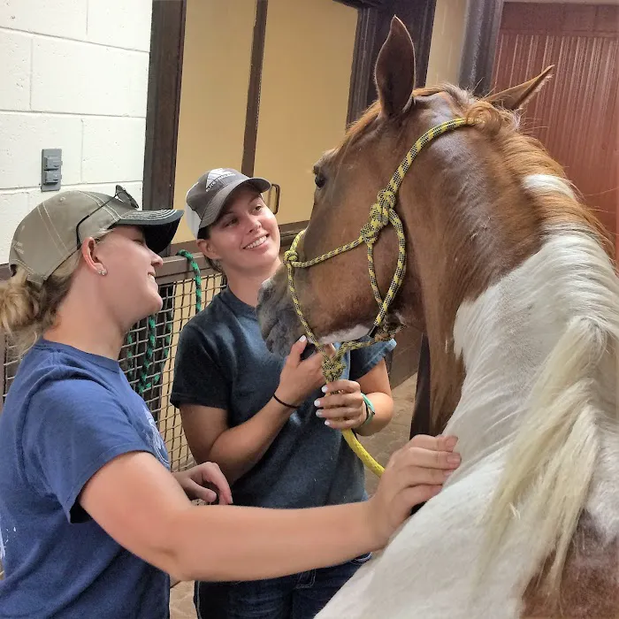 Oklahoma City Equine Clinic Picture 7