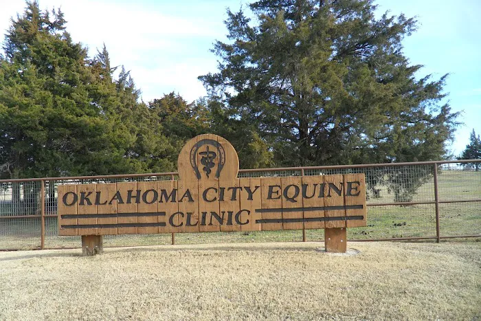Oklahoma City Equine Clinic Picture 9