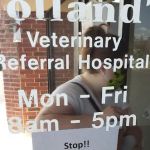 Holland's Veterinary Referral Hospital / Cattle Stats, LLC