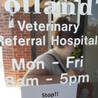 Holland's Veterinary Referral Hospital / Cattle Stats, LLC ico