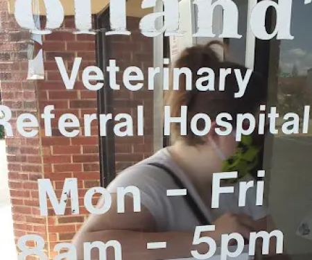 Holland's Veterinary Referral Hospital / Cattle Stats, LLC