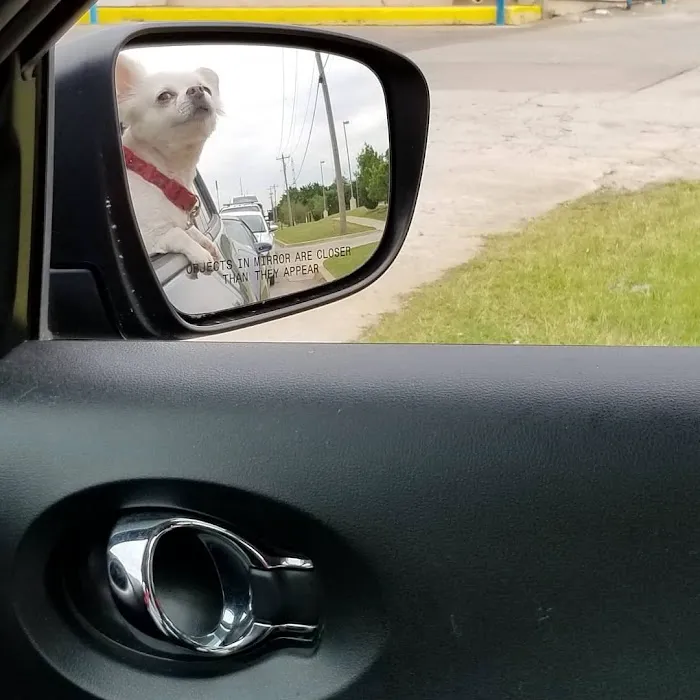 Holland's Veterinary Referral Hospital / Cattle Stats, LLC Picture 3