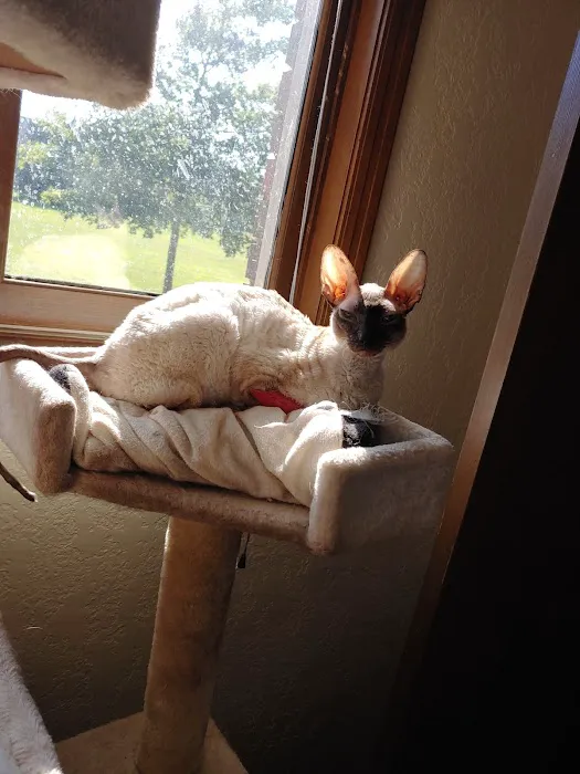 Holland's Veterinary Referral Hospital / Cattle Stats, LLC Picture 4