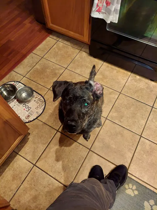 Holland's Veterinary Referral Hospital / Cattle Stats, LLC Picture 2